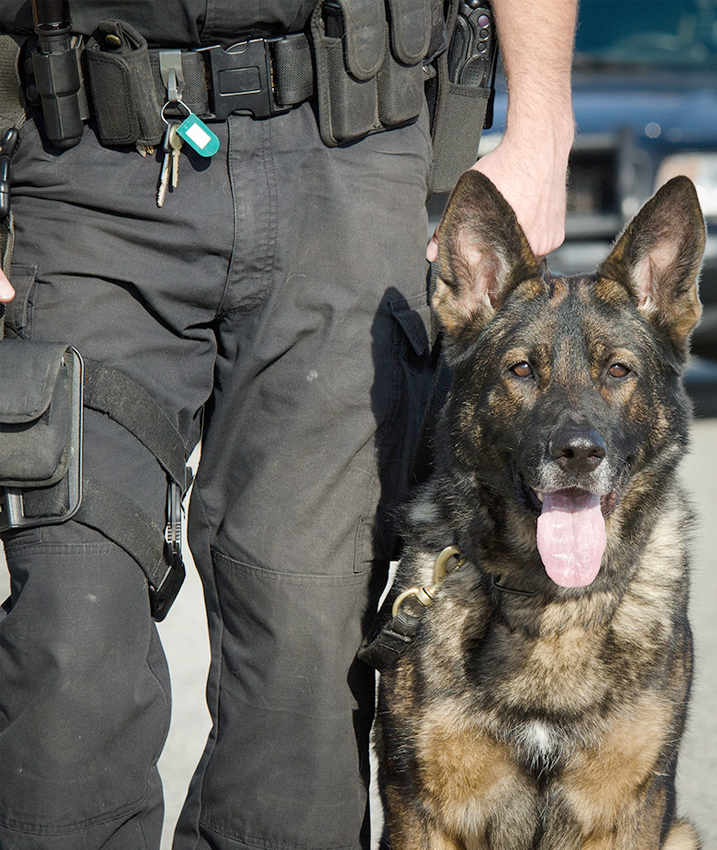 Mujer sonriendo saludando a un hombre.